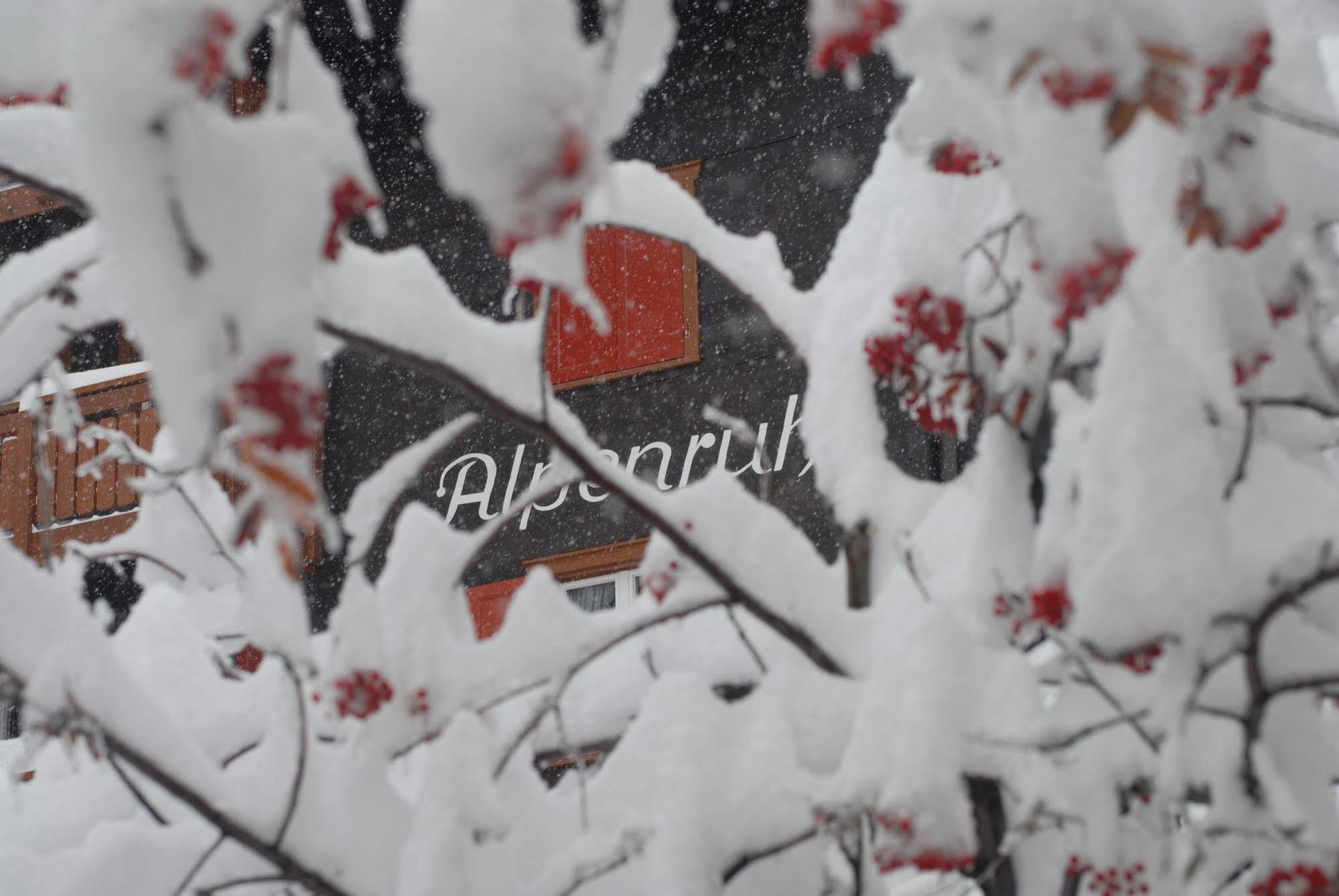 Chalet Alpenruh Зас-Фе Экстерьер фото